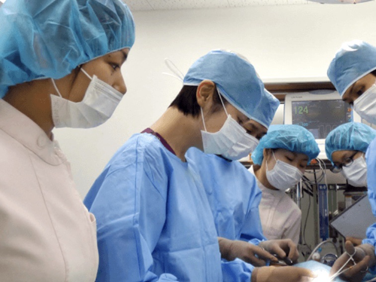 目黒動物病院グループ 写真2