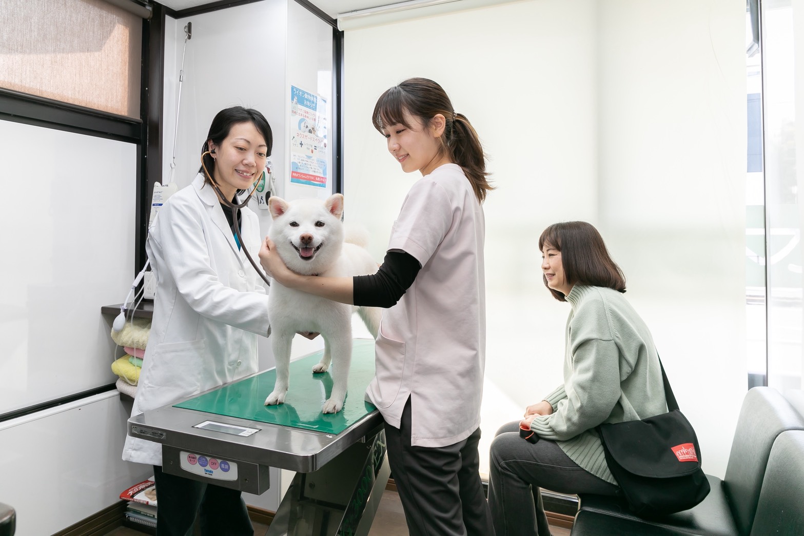 ライオン動物病院 写真1