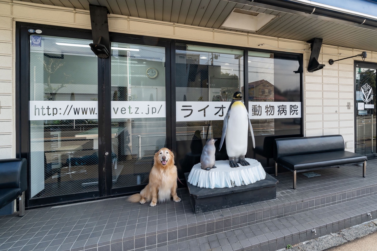 ライオン動物病院 写真3