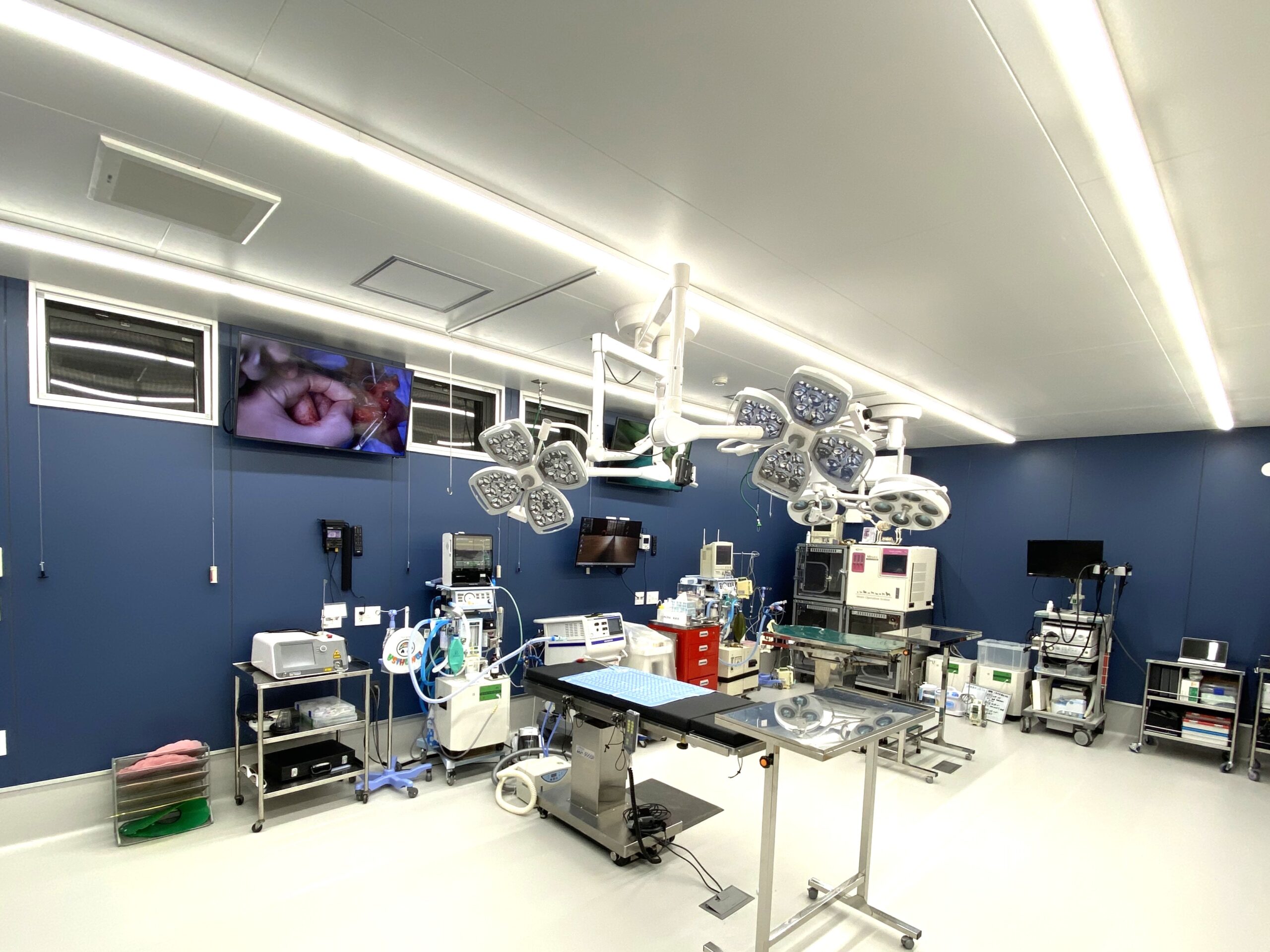 ルナ動物病院 写真2