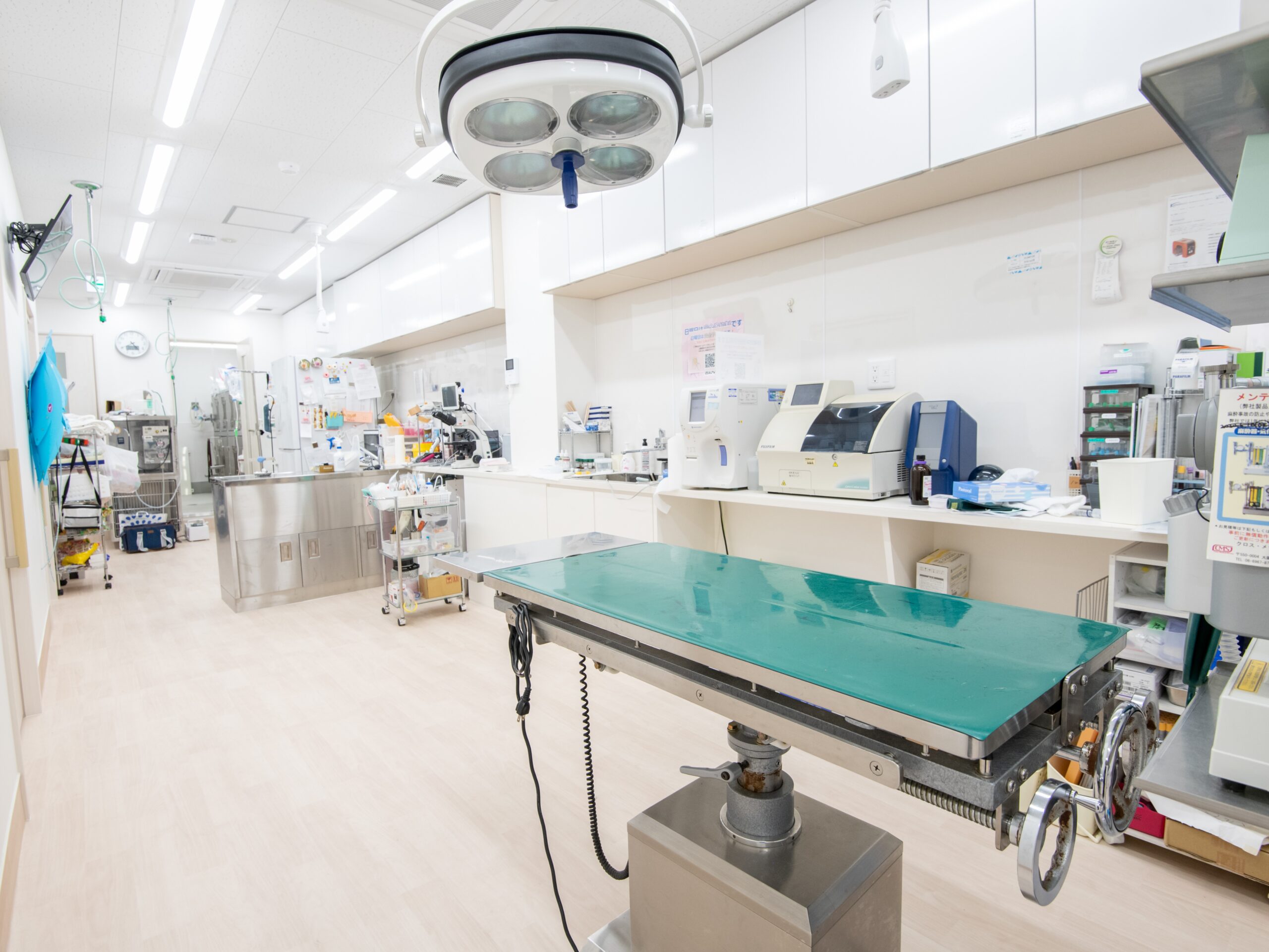 花咲く動物病院 写真1