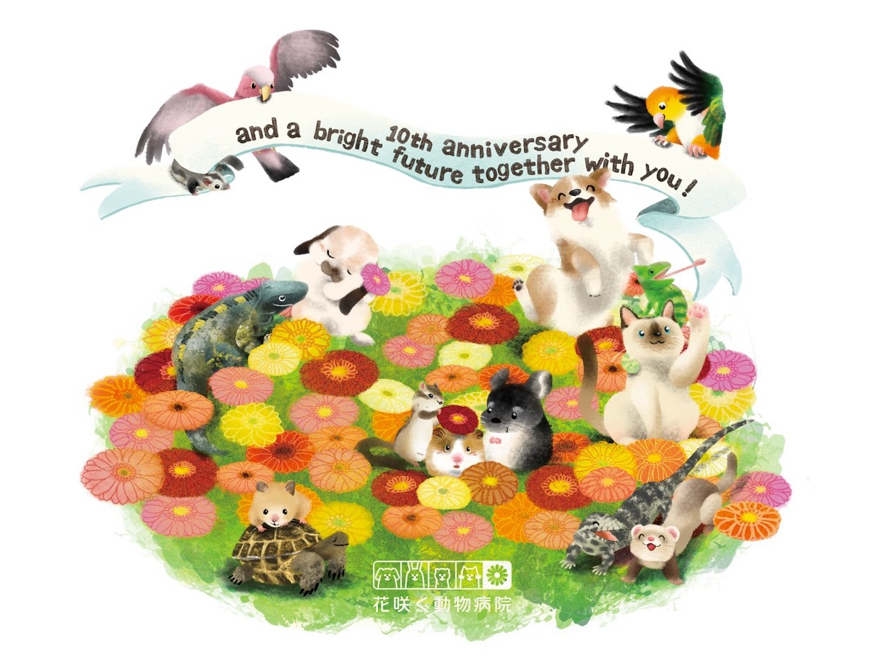 花咲く動物病院 写真3