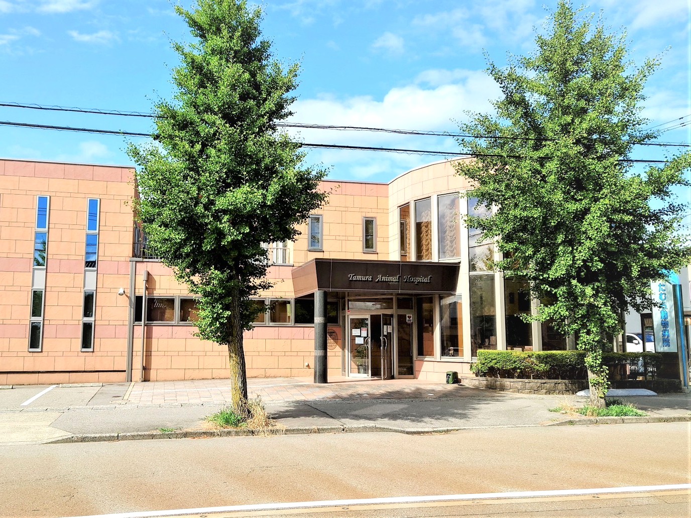 かなざわ動物総合医療センター 写真1