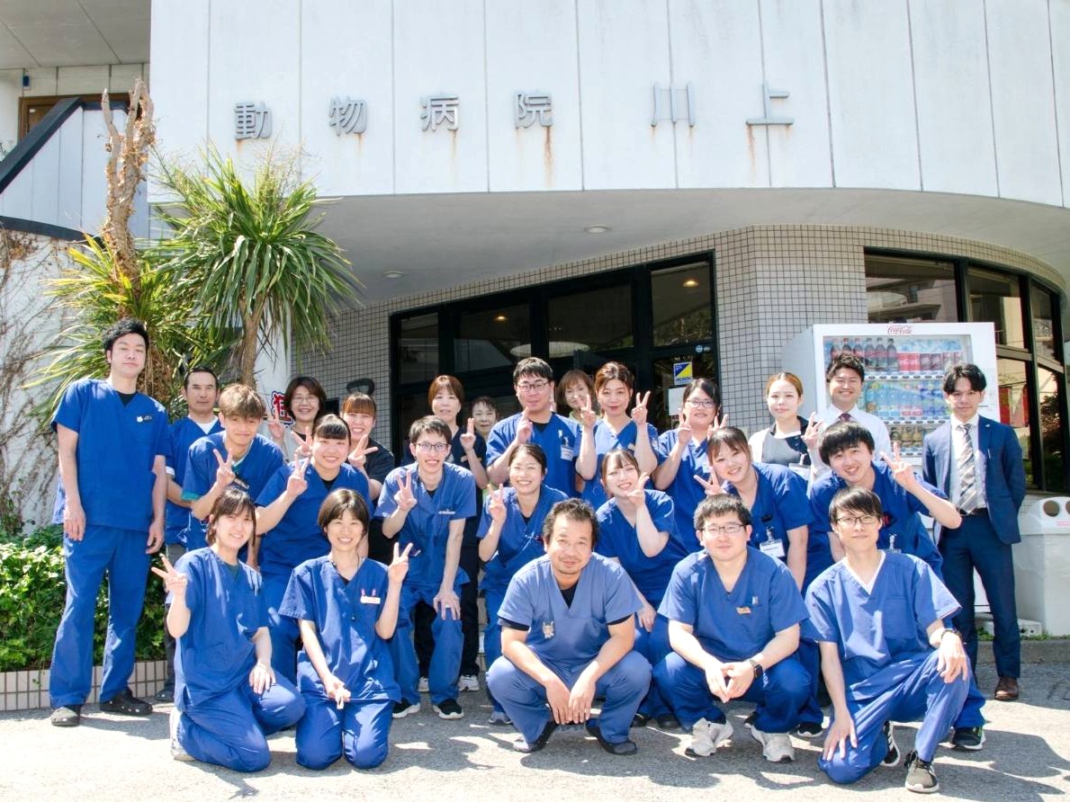 動物病院川上 写真1
