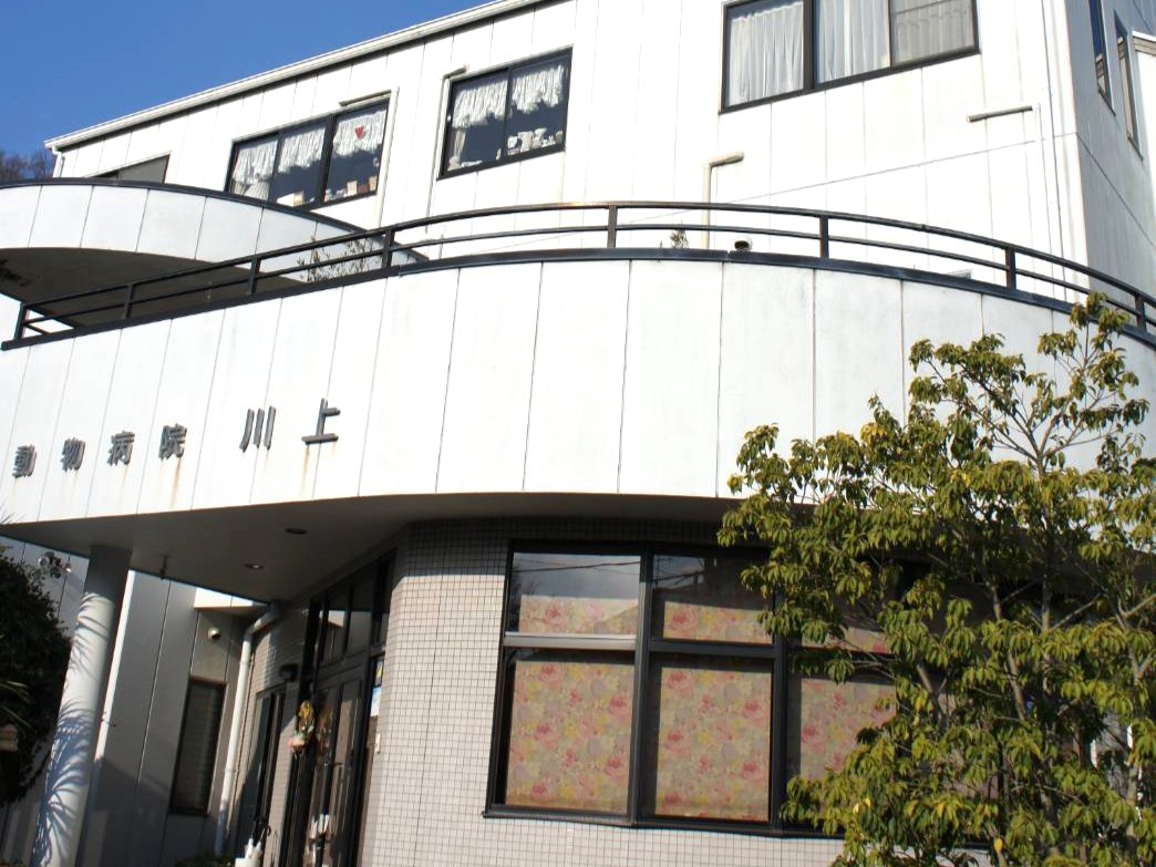 動物病院川上 写真3